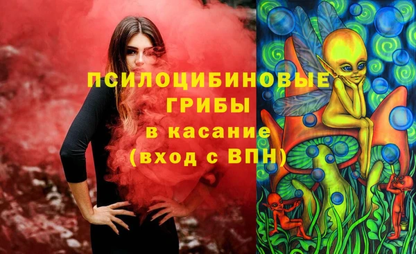 марки lsd Богородицк